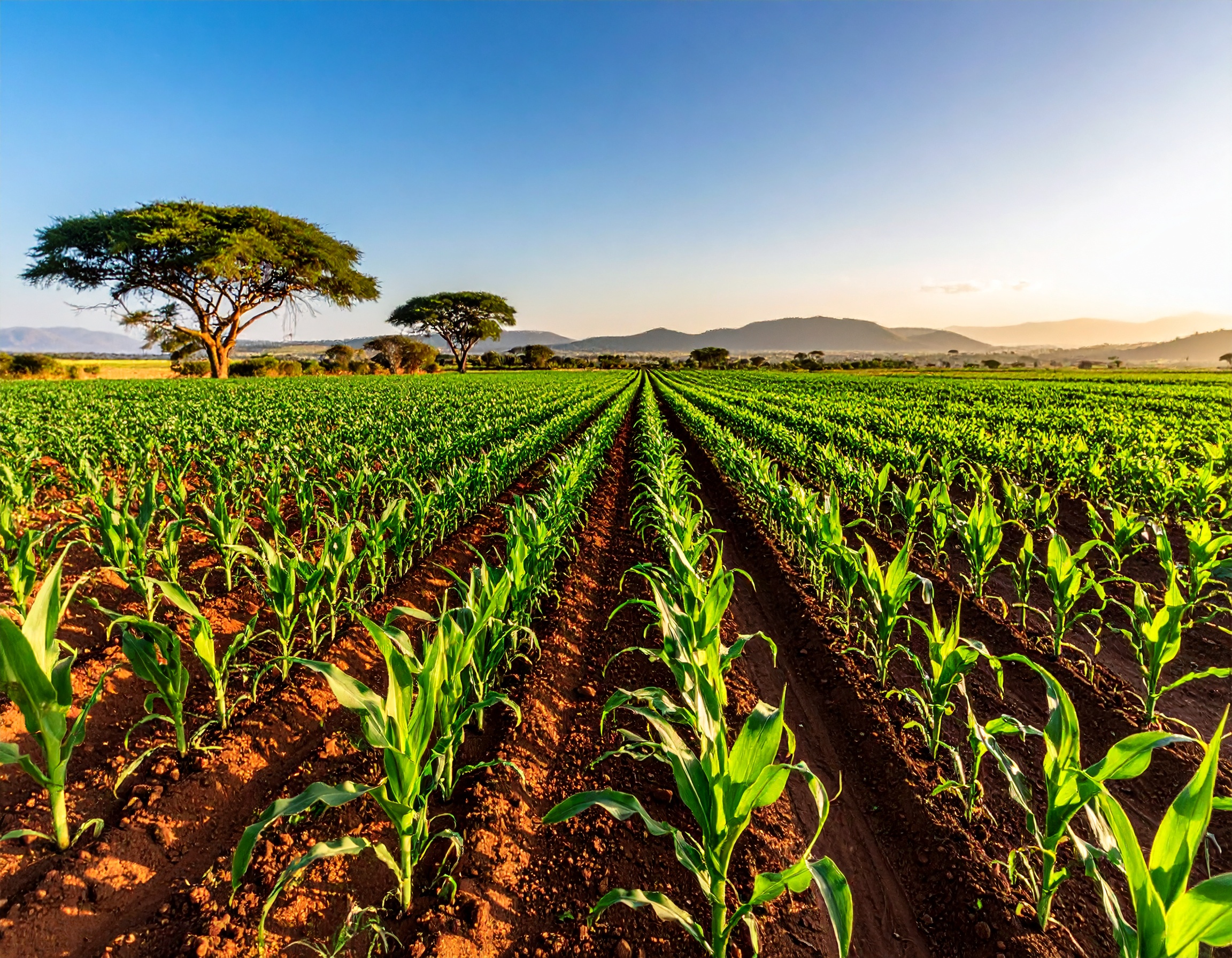 JOSETECH Farm landscape